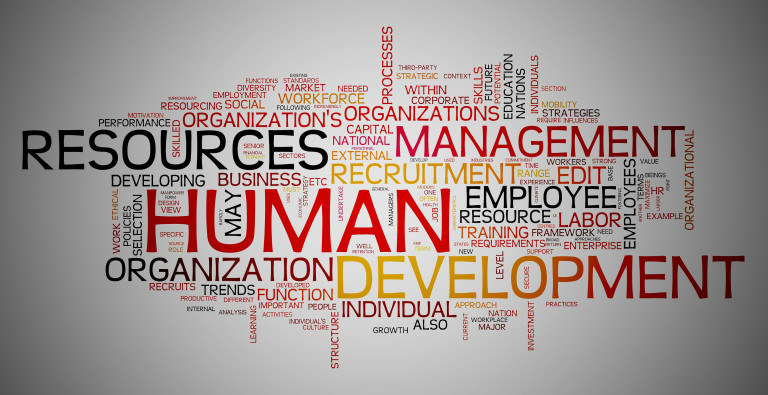 new landscape in the development of human resources new landscape in the development of human resources