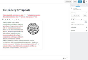 Image of the Gutenberg editor in use.
